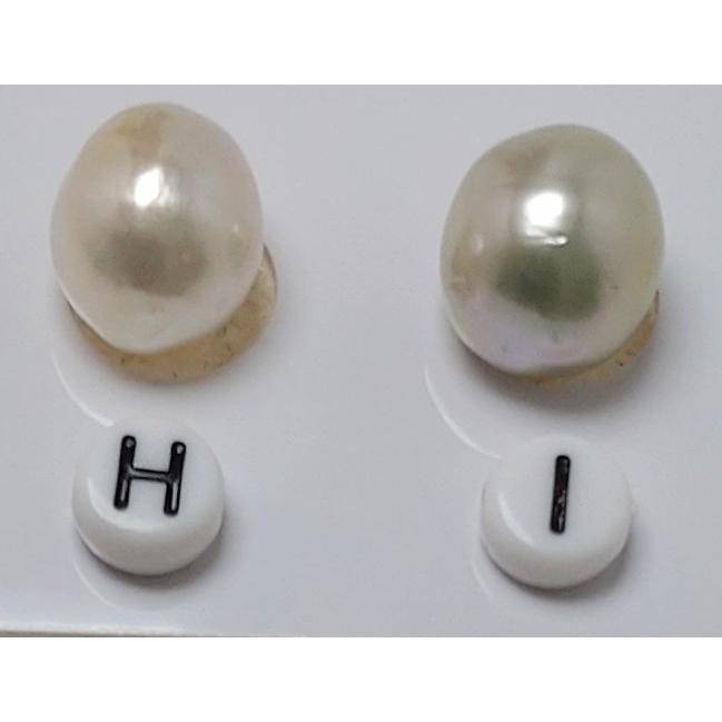 パール　ルース　南洋真珠　白蝶ケシ　変形　10mm〜11mm ５pcs 選べる 白蝶真珠 ルース 10mmUP ルースのみorペンダントトップ加工可能