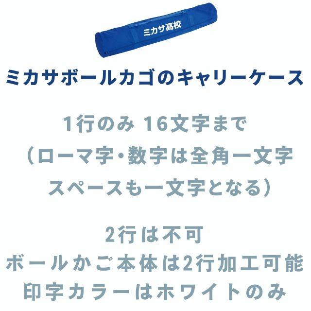 MIKASA（ミカサ） 折りたたみ ボールカゴ 高さ103cm BCSPH-VB2-N