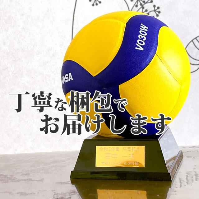 年末のプロモーション特価 バレーボール サフィルヴァのサインボール バレーボール Alrc Asia