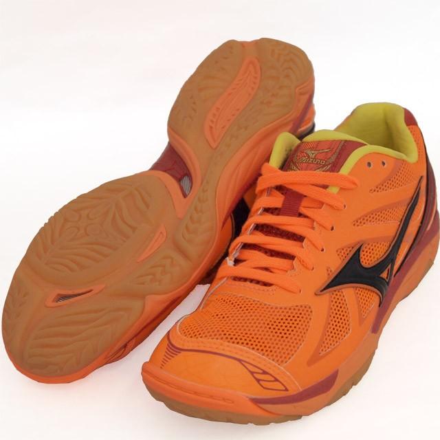 MIZUNO（ミズノ） V1GA1560-98 ヒノトリ バレーボールシューズ