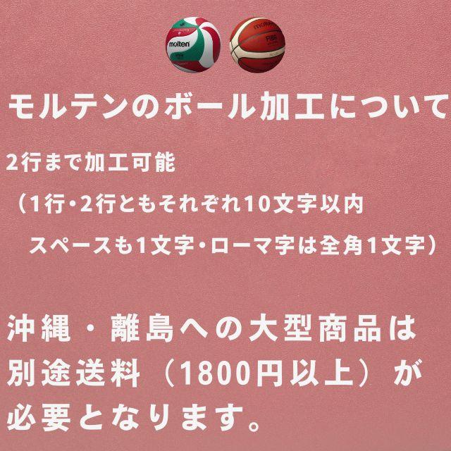 molten（モルテン） バレーボール 4号 V4M5000(ネーム入り)検定球 試合