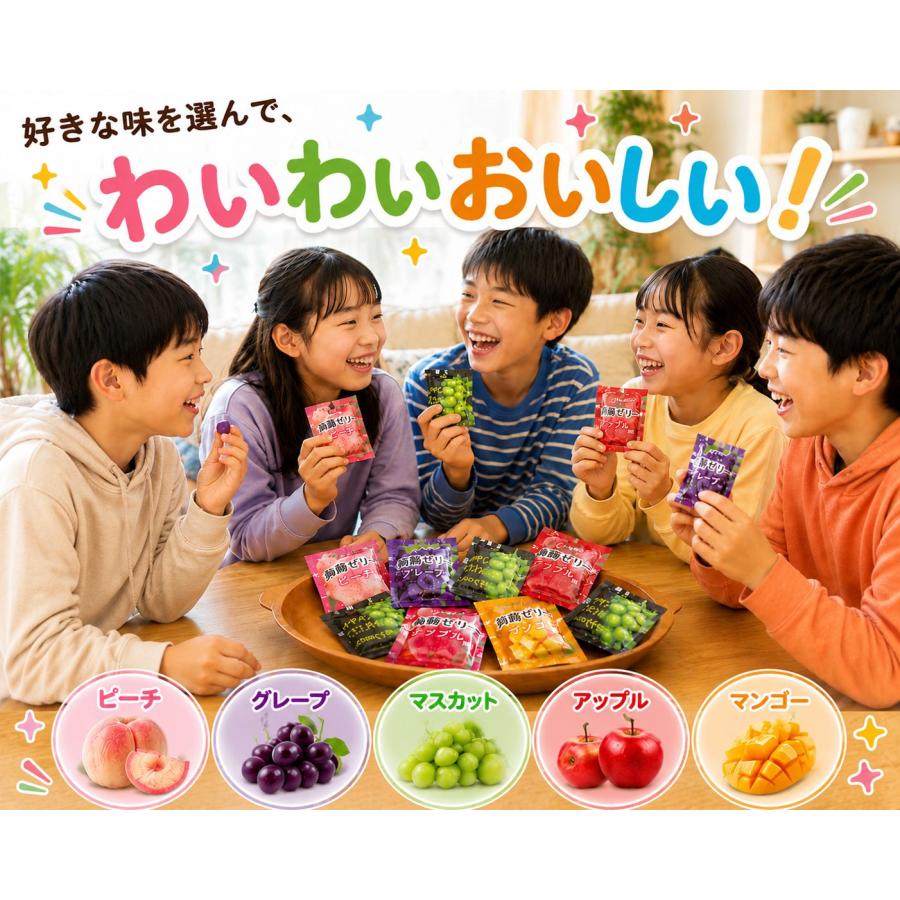 こんにゃく ゼリー 雪国アグリ フルーツ 5種各12個 計60個 詰め合わせ