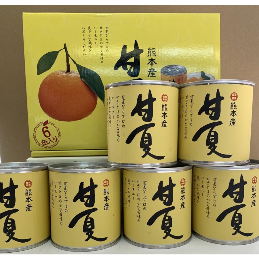 甘夏缶詰ギフト 熊本産 【予約販売品】 59％以上節約 JAあしきた