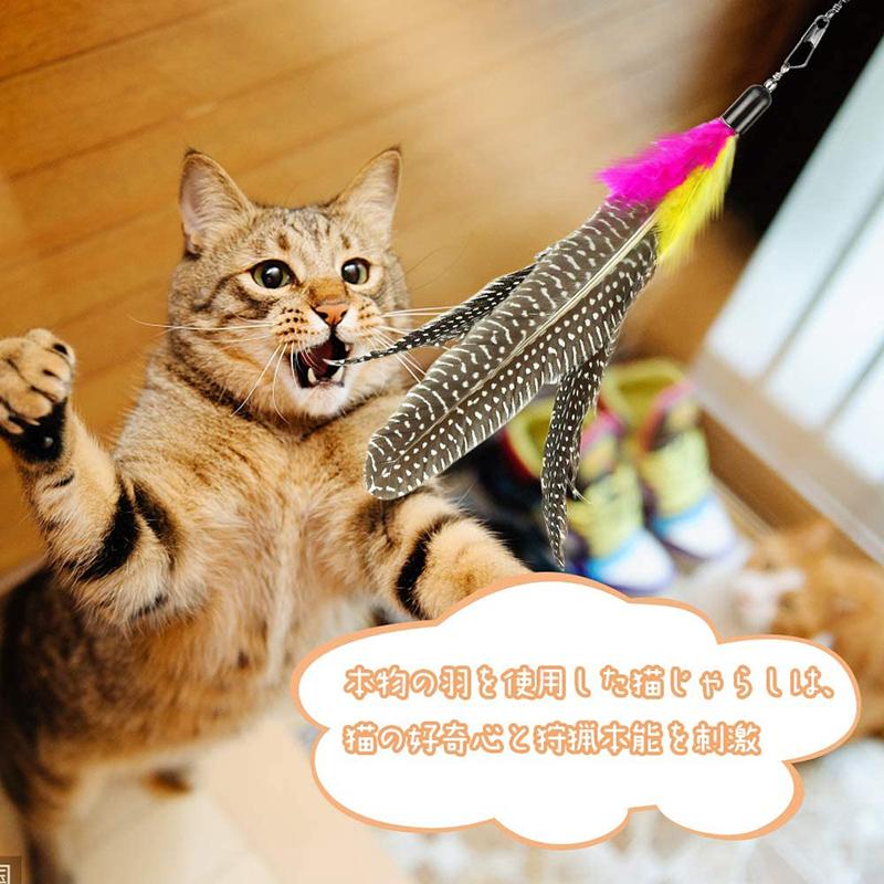 猫じゃらし ねこおもちゃ 猫のおもちゃ じゃれ猫 釣竿 1本 羽根 8羽 ぶらぶら ペットグッズ ねこ用品 Addm599 安光屋 通販 Yahoo ショッピング