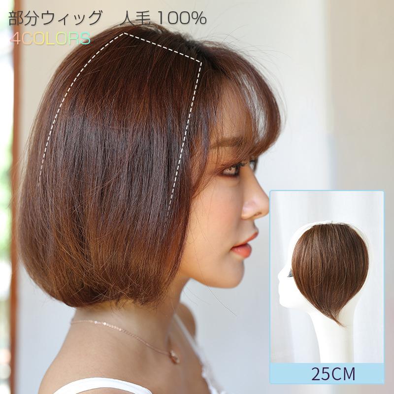 部分ウィッグ 人毛ウィッグ 女性 かつら 増毛 脱毛 白髪隠れ 薄毛 トップカバー サイド エクステ ワンタッチ 簡単 自然 ボリューム 医療用 4色選択可能 N172 安光屋 通販 Yahoo ショッピング