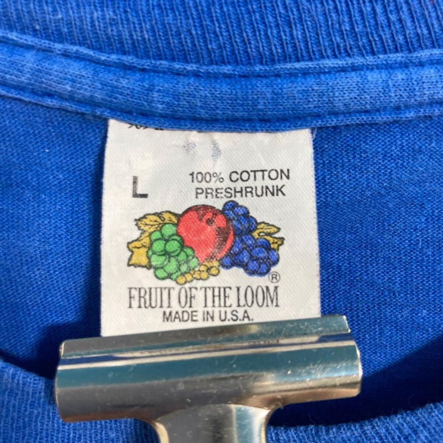 FRUIT OF THE LOOM 半袖 プリント Tシャツ L ブルー フルーツ