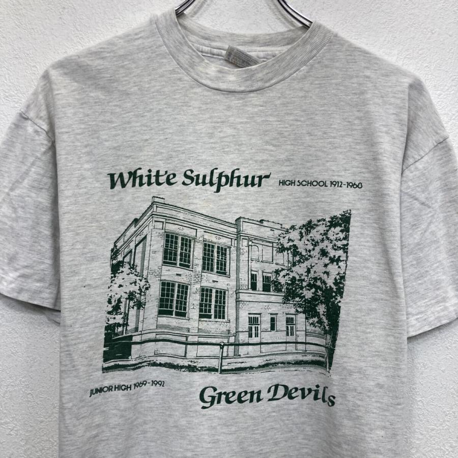 90s USA製 Hanes 半袖 プリントTシャツ L グレー ヘインズ プル