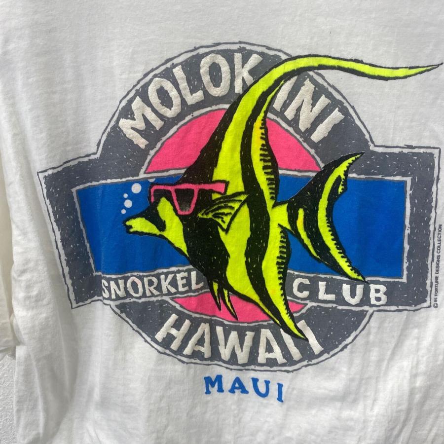 Hanes BEEFY-T 半袖 プリント Tシャツ M サイズ ヘインズビーフィー 