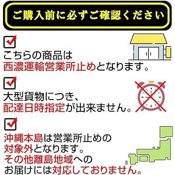 [大特価] FROW フロウ ソフトボード サーフボード ロングボード 90 青 SOFT フィン付 サーフィン 【ZY6987036755】(25425円)