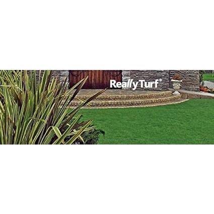 【最終】 人工芝 リアリーターフ（パイル25mm）1m×10m 【WSO1028309352】(37419円)