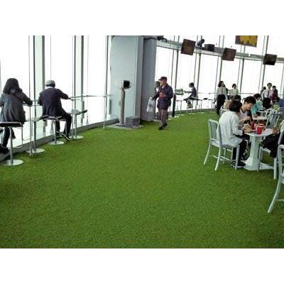 【最終】 人工芝 リアリーターフ（パイル25mm）1m×10m 【WSO1028309352】(37419円)