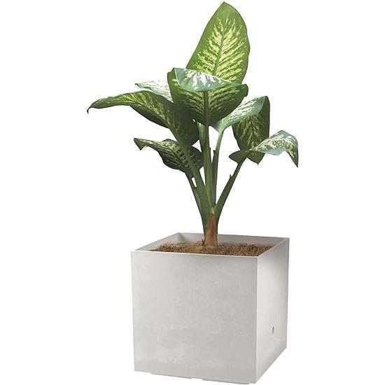 リッチェル 大型プランター 陶器風 ホワイト 45×45×45cm ラヴィーレWS キューブ 45型 底面給水機能付き 709002 街景観に調和する スタイリッシュで高い質感の底面給水機能付き大型プランター サイズ 外寸 約幅45×奥行45×高さ45cm 内寸 約幅43 5×奥行43 5×高さ27 5cm重量 約15 2kg容量 6L