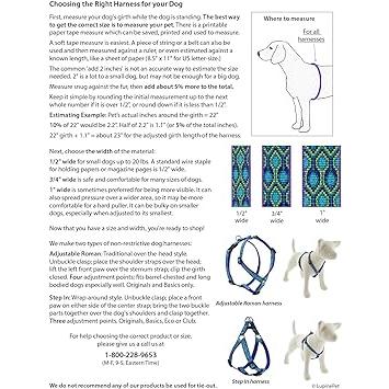 ウルトラ！ Lupine ECO Collection 調節可能な犬用ハーネス 幅3/4インチ トロピカルシー 胴回り14~24インチ 【1679527451】(10640円)