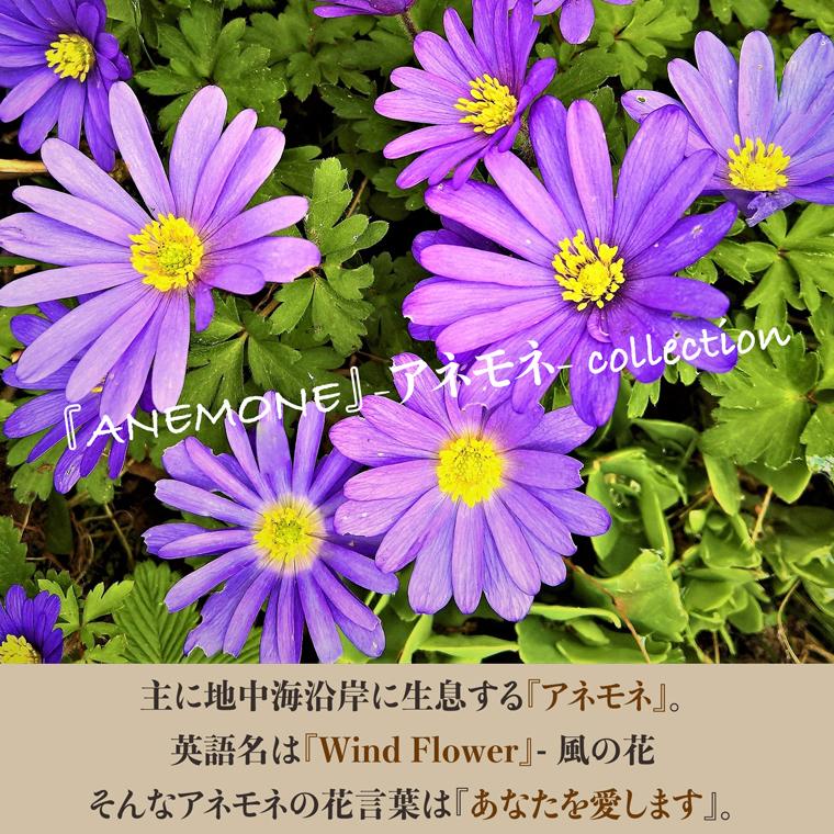 【 三つ折り財布 】 折り財布 折財布 レディース 財布 サイフ 三つ折り ミニ 日本製 本革 アネモネ 花柄 レザー ミニ 小さい 小さな 牛革 革 VREASON ヴレアゾン | VREASON | 06