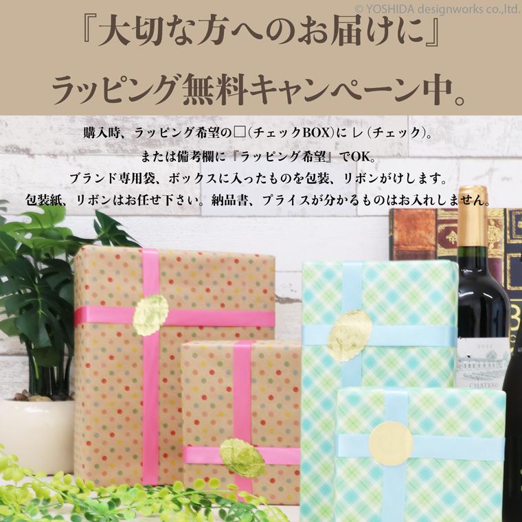 マスクケース マスク入れ マスク ケース 日本製 本革 ジョバンニ 抗菌 使いやすい 雑貨 小物 機能的 おしゃれな VREASON ヴレアゾン | VREASON | 24