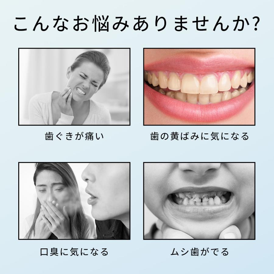 クーポンで2533円】電動歯ブラシ 5モード 替えブラシ4本 音波 振動 歯