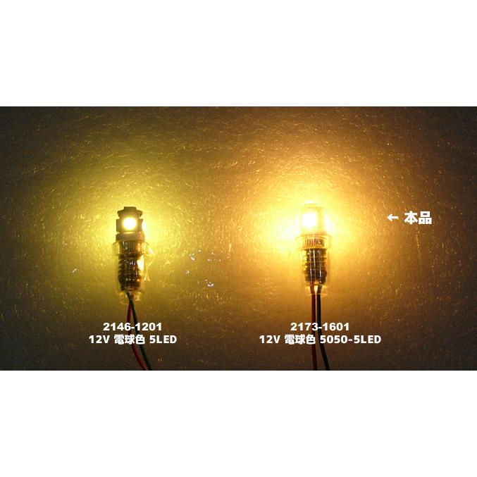 LED豆電球 12V 電球色（保護フィルム加工）5050-5LED 口金サイズE10