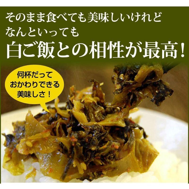 割引 福岡産高菜を使用 博多辛子高菜 3袋 辛子高菜1袋 明太入高菜2袋 おにぎり チャーハン ラーメン パスタにどうぞ Piazzettadelsole Com