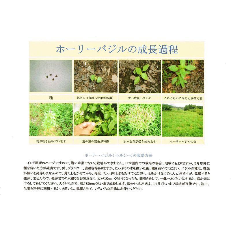 専門店 Ssrn63bjv 2 5馬力 単相0v ワイヤード ダイキン 業務用エアコン 天カセ マルチフロータイプ ショーカセ シングル63形 Fivestar Zeas 取付工事費別途 Materialworldblog Com