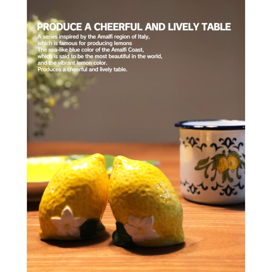 EXCELSA（エクスチェルサ） 調味料入れ 調味料ボトル 塩 胡椒 2個
