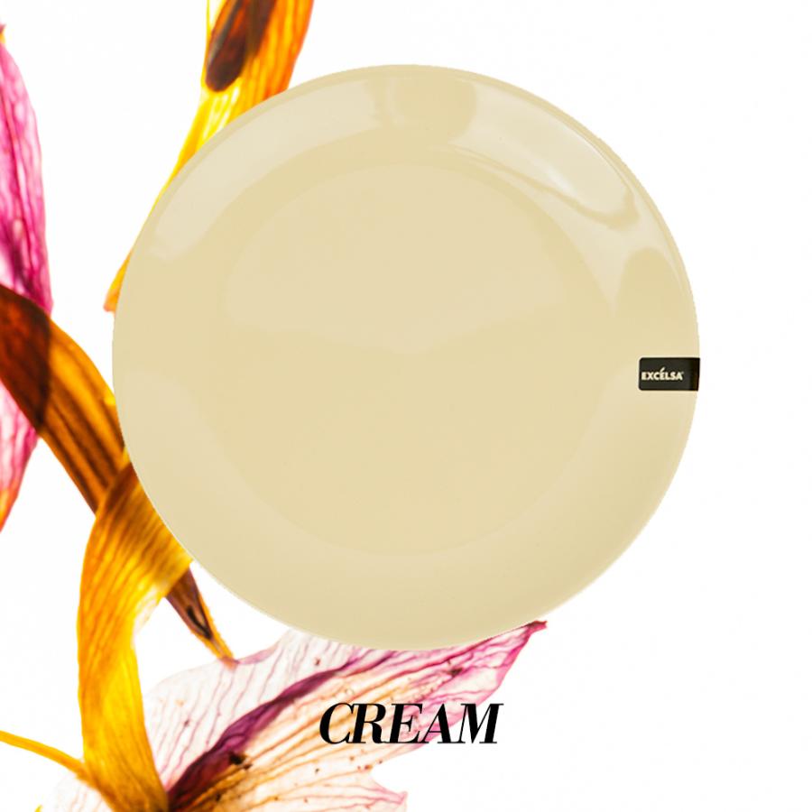 イタリア アンカップ社製 皿 10枚セット 直径約26cm 絵皿 26cm GEO037