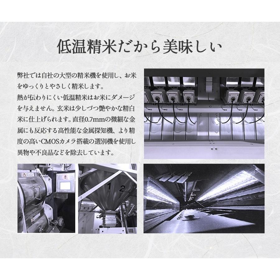 コシヒカリ 新之助 お米 20kg 白米 送料無料 安い 新潟県産 しんのすけ