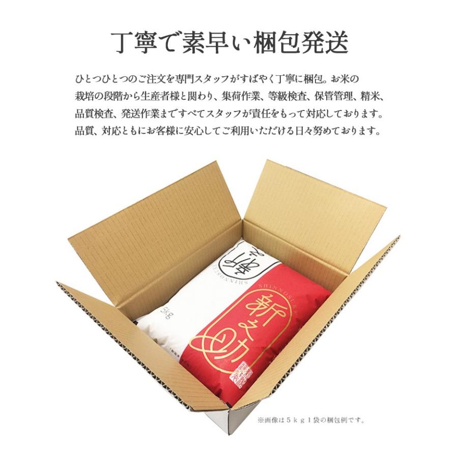 新之助 お米 2kg 白米 送料無料 安い 新潟県産 しんのすけ 令和6年産  