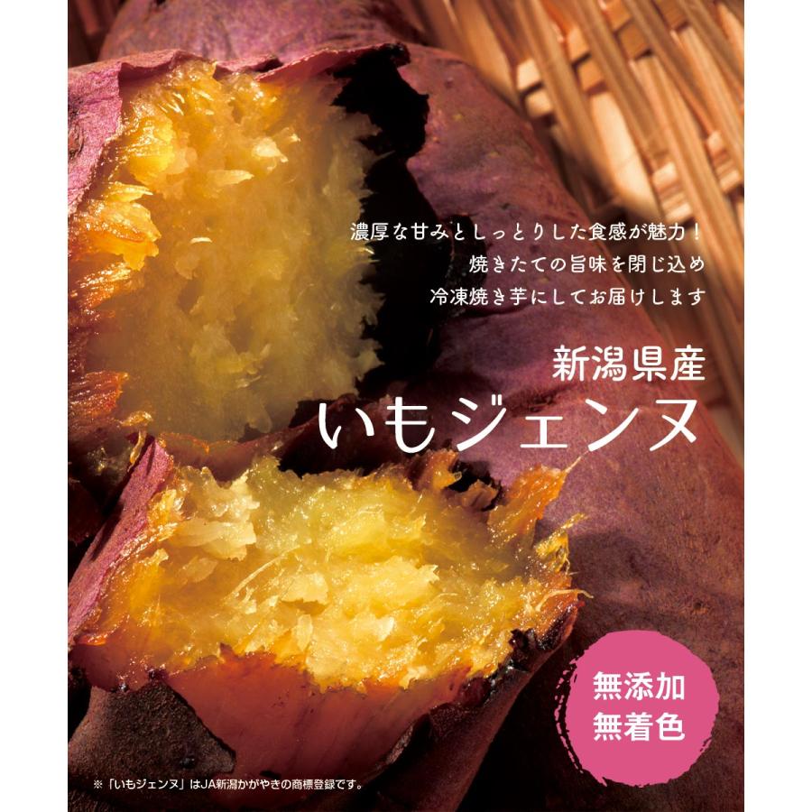 5本セット　芋神　隼人の芋神　さつまいも さつまいも さつま芋 薩摩芋 焼き芋 いも いもジェンヌ 新潟県産