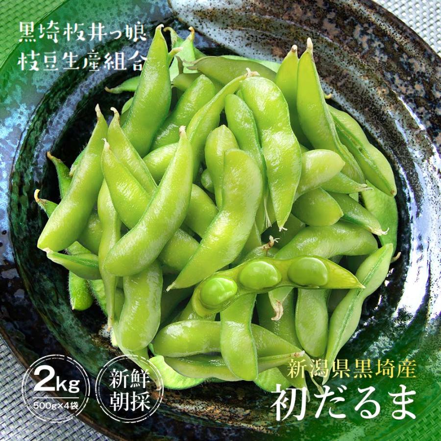 【本日発送‼︎】新潟黒埼産枝豆 初だるまA品2キロ 産地直送 数量限定 予約商品 6月下旬〜7月上旬発送】枝豆 新潟 黒埼 初