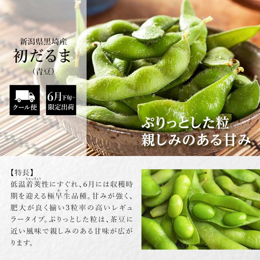 産地直送 数量限定 予約商品 6月下旬〜7月上旬発送】枝豆 新潟 黒埼 初