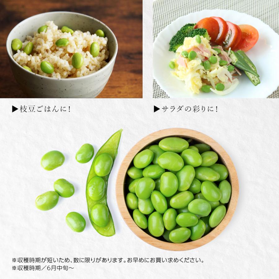 産地直送 数量限定 予約商品 6月下旬〜7月上旬発送】枝豆 新潟 黒埼 初