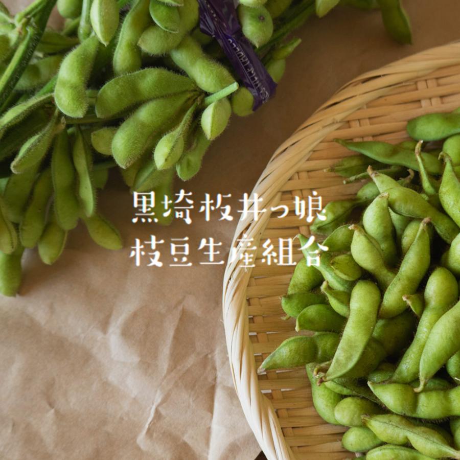 産地直送 数量限定 予約商品 7月中旬〜7月下旬発送】枝豆 新潟