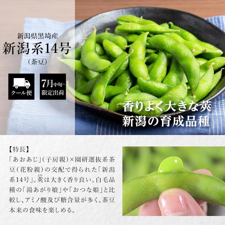 産地直送 数量限定 予約商品 7月中旬〜7月下旬発送】枝豆 新潟 黒埼