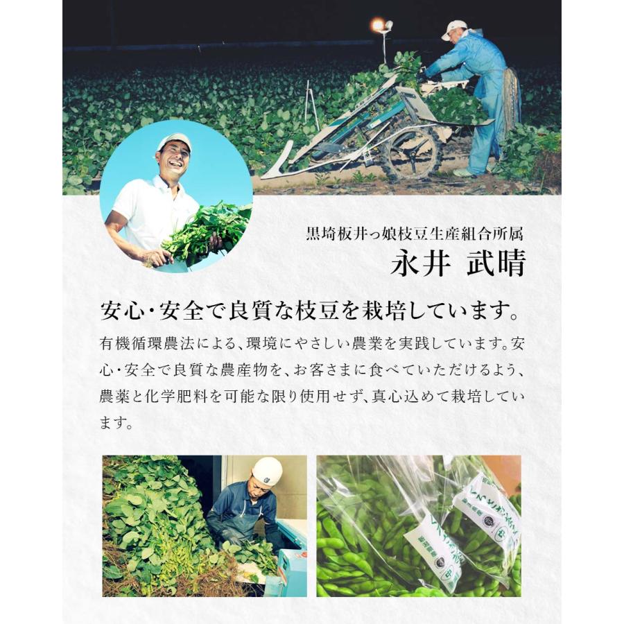 産地直送 数量限定 予約商品 7月中旬〜7月下旬発送】枝豆 新潟 黒埼 