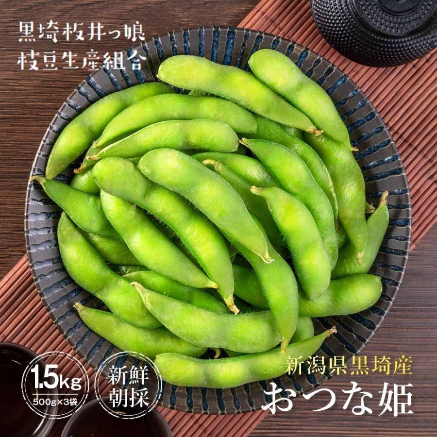 市場 Ja鶴岡 0g 5袋 送料無料 だだちゃ豆 冷凍殿様のだだちゃ豆 公式