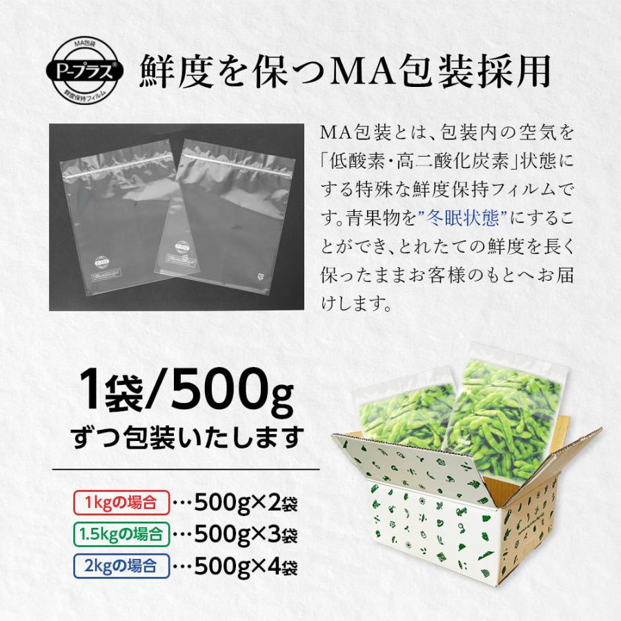 【産地直送 数量限定 予約商品 7月上旬〜7月中旬発送】枝豆 えだまめ 枝まめ えだ豆 新潟 黒埼 おつな姫 1.5kg 青豆 甘い 朝採り 黒埼板井っ娘枝豆生産組合｜vt-web｜12