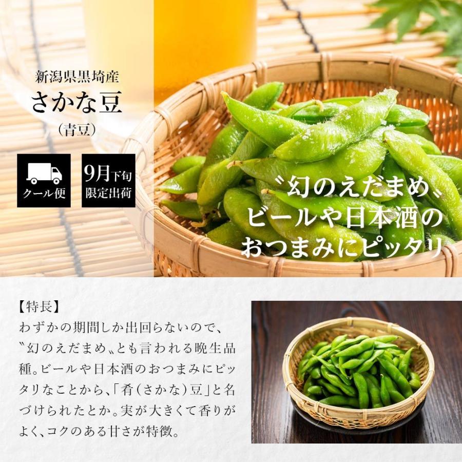 【予約品9/26頃発送】新潟県 黒埼産 肴豆　A3kg B2kg 産地直送 数量限定 予約商品 9月下旬〜発送】枝豆 新潟 黒埼
