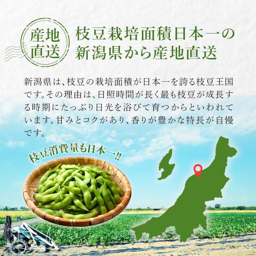 産地直送 数量限定 予約商品 9月下旬〜発送】枝豆 新潟 黒埼