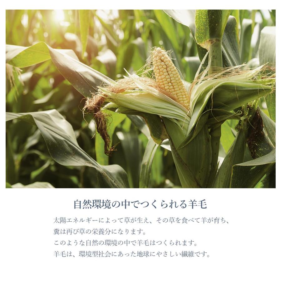 枕 肩こり解消 首こり 横向き 羊まくら 素肌呼吸 亀田縞 大サイズ 羊毛 トウモロコシ繊維 自然素材100 Wool Board ウールボード 母の日 Nt Ctry Makura 1 いただきプラザ Yahoo 店 通販 Yahoo ショッピング