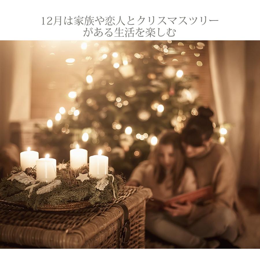 クリスマスツリー A 210cm 赤い実と松ぼっくり付 最高級リッチ ドイツ
