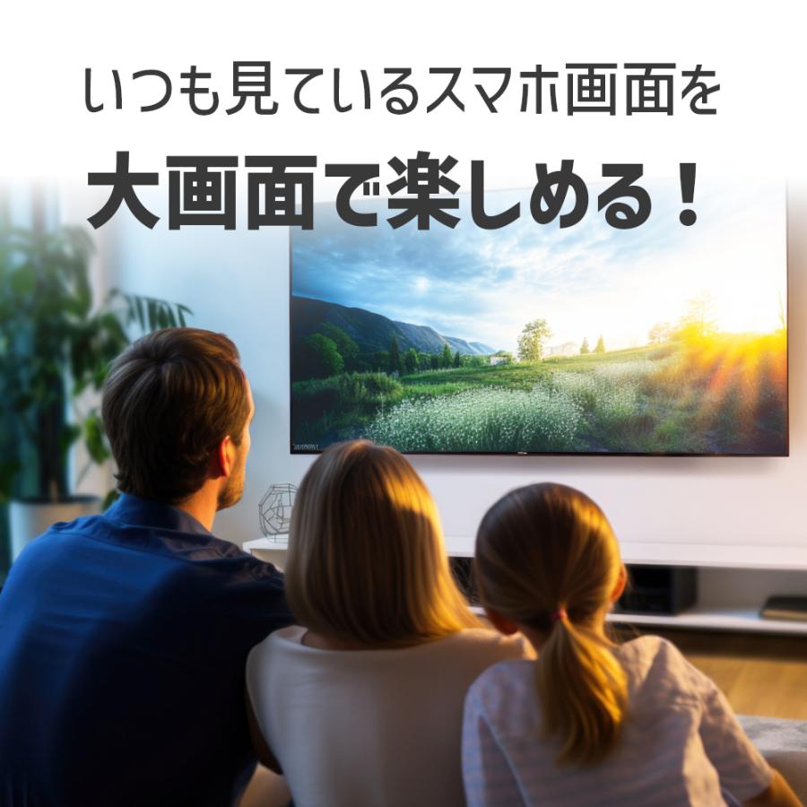 switch テレビ接続 ケーブル スマホ タブレット 有線接続 設定不要 Type-C 専用 ミラーリングケーブル V-MCS03 | VERTEX STYLE | 05