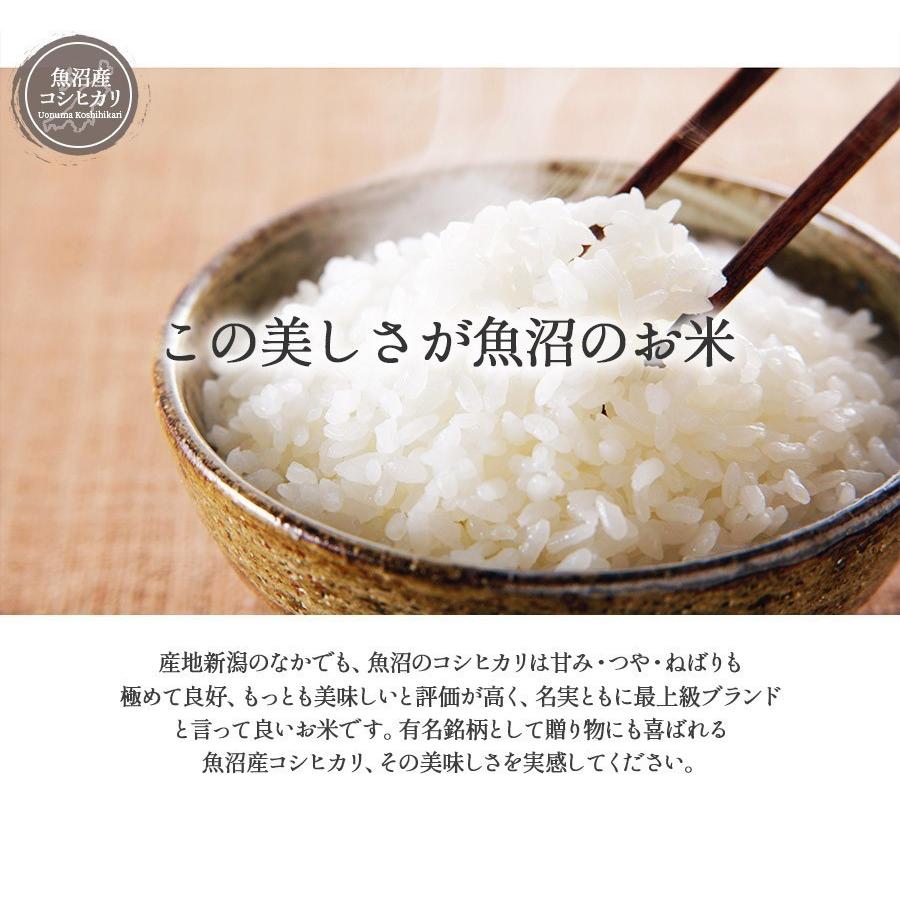 玄米 20kg コシヒカリ 新米 埼玉県産 令和4年産 送料無料 米 20キロ 通販