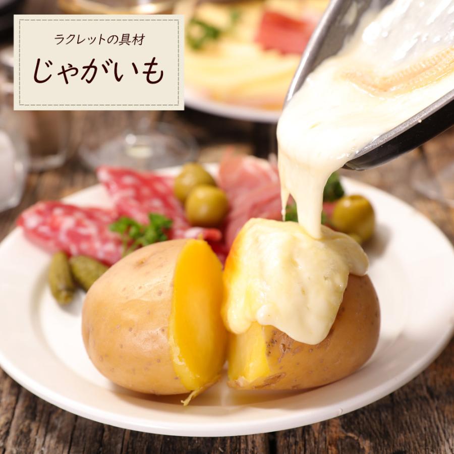 nikome ラクレットグリル NKM-RC01 焼肉プレート ミニ 焼き鳥焼き器 