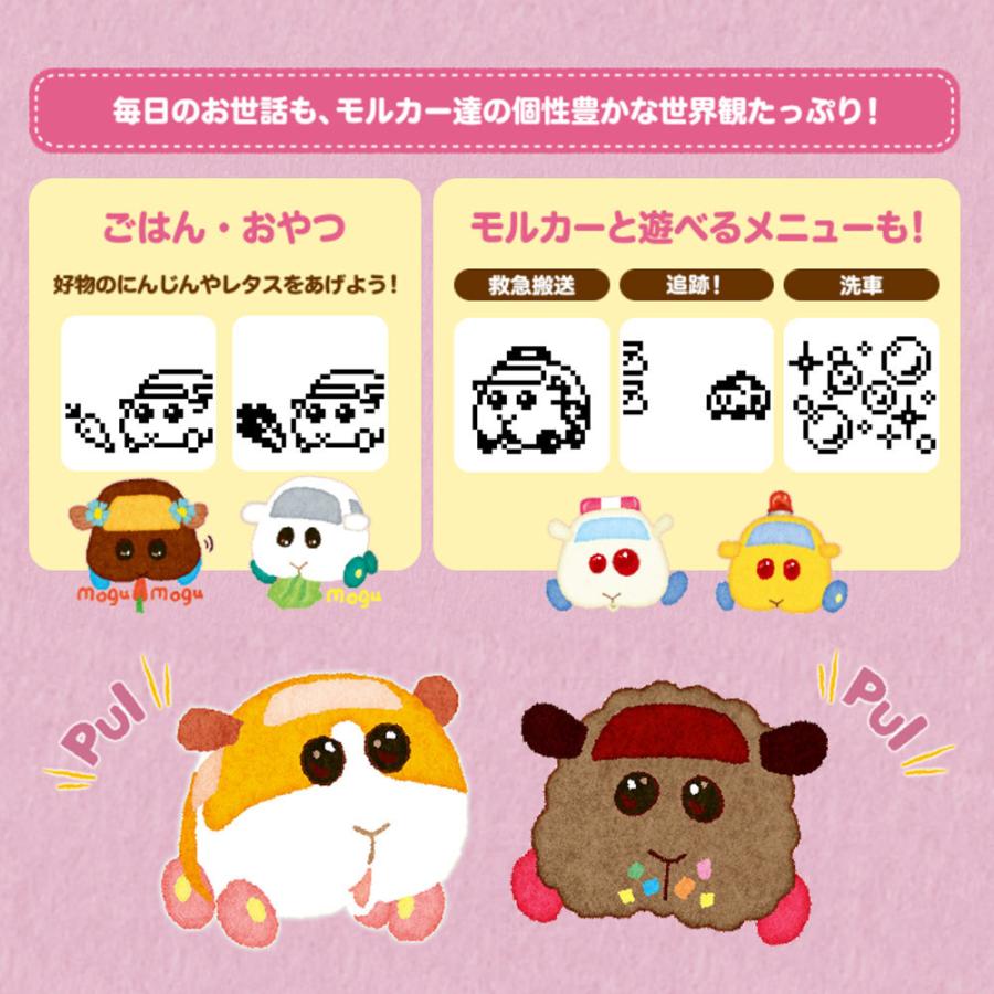 BANDAI（バンダイ） モルカー たまごっち PUI PUI モルカっち オレンジ