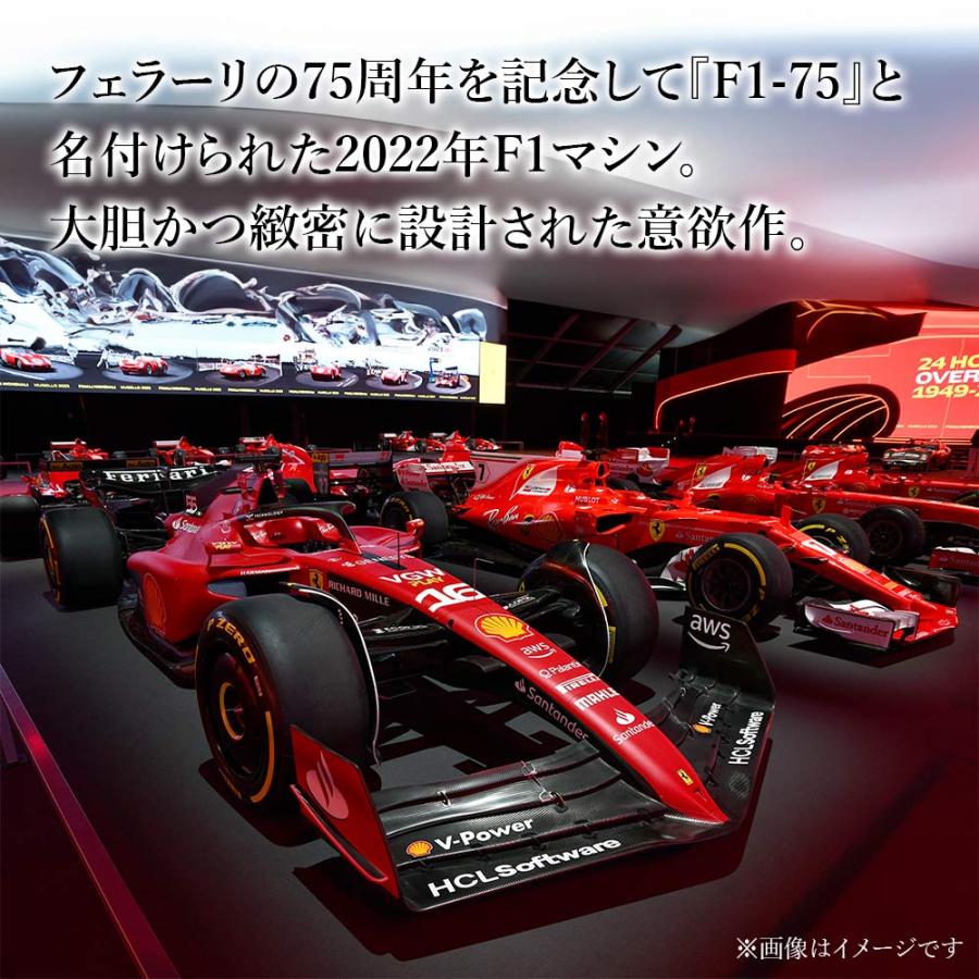 ラジコン ラジコンカー 子供 自動車 車 RC メルセデスベンツAMG F1 W11