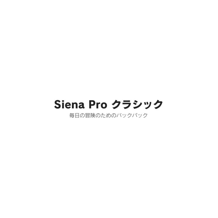 リュック メンズ レディース 通勤 通学 旅行 軽量 おしゃれ USB充電ポート付き 18L Nordace Siena Proクラシックバックパックの画像