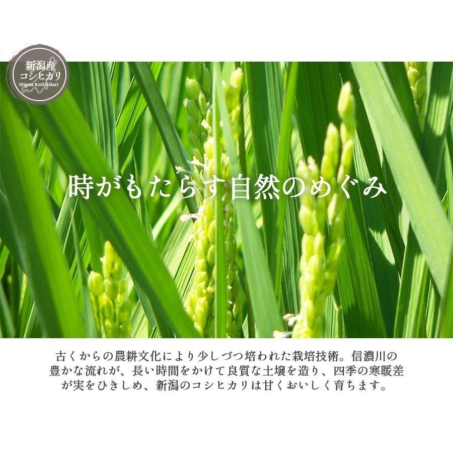 コシヒカリ お米 20kg 白米 送料無料 令和6年産 新潟県産 コシヒカリ お米 20kg 白米 送料無料 令和6年産 新潟県産