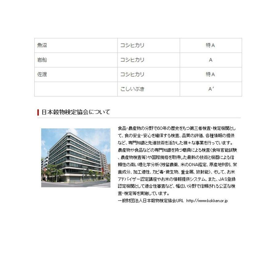 コシヒカリ お米 20kg 白米 送料無料 令和7年産 新潟県産コシヒカリ