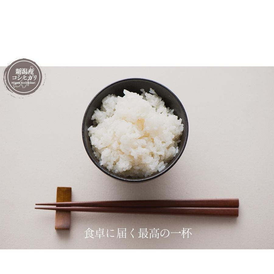 コシヒカリ お米 2kg 白米 令和7年産 新潟県産コシヒカリ 産地直送 米