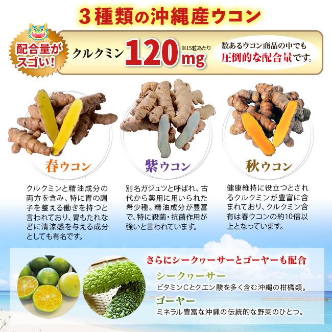 ウコン サプリ ウコンの効能 沖縄産トリプルウコンexプラス お試し1本 健康 日本直販 正規代理店 母の日 父の日 Vt Sh いただきプラザ Yahoo 店 通販 Yahoo ショッピング